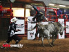 PBR-15-1280x931