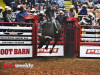PBR-18-1280x931