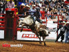 PBR-2-1280x931