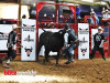 PBR-4-1280x931