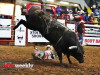 PBR-41-1280x931