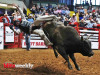 PBR-5-1280x931
