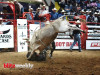 PBR-6-1280x931