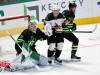 Stars-vs-Coyotes-25