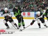 Stars-vs-Coyotes-51