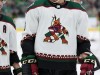 Stars-vs-Coyotes-52
