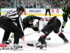 Stars-vs-Coyotes-57