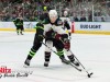 Stars-vs-Coyotes-9