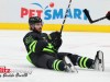 Stars-vs-Coyotes-9o