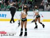 Stars-vs-Coyotes-10