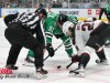 Stars-vs-Coyotes-36