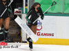 Stars-vs-Red-Wings-12