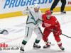 Stars-vs-Red-Wings-22