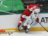 Stars-vs-Red-Wings-24