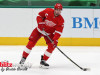 Stars-vs-Red-Wings-30