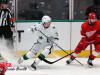Stars-vs-Red-Wings-39