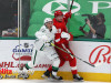 Stars-vs-Red-Wings-42
