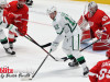 Stars-vs-Red-Wings-44