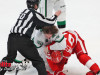Stars-vs-Red-Wings-49