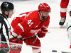 Stars-vs-Red-Wings-66