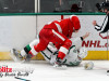 Stars-vs-Red-Wings-6a