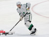 Stars-vs-Red-Wings-74