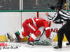 Stars-vs-Red-Wings-79