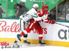 Stars-vs-Red-Wings-83