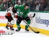 Stars-vs-Ducks-9