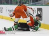 Ducks-vs-Stars-3-18-25-93