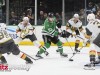 Stars-vs-Knights-1-24-25-50