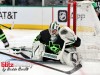 Stars-vs-Panthers-29