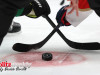 Stars-vs-Panthers-4-10-21-13