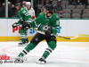 Stars-vs-Panthers-25