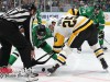 Stars-vs-Penguins-55