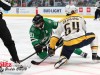 Stars-vs-Predators-34