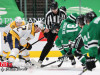 Stars-vs-Predators-36