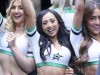 Stars-vs-Red-Wings-1-19-25-16
