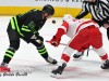 Stars-vs-Redwings-12-11-23-28