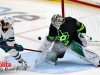 Stars-vs-Sharks-20