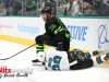 Stars-vs-Sharks-7