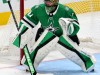 Stars-vs-Toronto-17