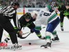 Stars-vs-Vancouver-93