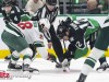 Stars-vs-Wild-G2-4-20-26-52