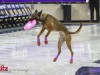 TCU-M-vs-Iowa-State-2-10-26-118