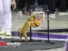 TCU-vs-Texas-Tech-M-1-30-24-61