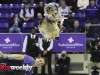 TCU-vs-Utah-1-15-25-75