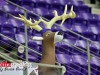 TCU-vs-The-Mount-12-22-23-35
