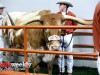 Texas-vs-OK-State-Big-12-Championship-12-2-23-28