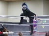 VIP-Wrestling-1-30-26-83